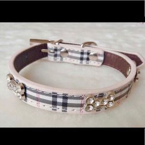 New arrives Fancy Pet Collar 🐕 🐕🐕🐕🐕🐕🐕🐕🐕🐕